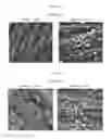 Fig. 09 - Agent for conditioning dentin and enamel
