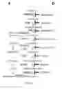 Fig. 06 - COMPOUNDS AND METHODS OF PROMOTING MYELINATION