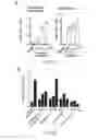 Fig. 08 - COMPOUNDS AND METHODS OF PROMOTING MYELINATION