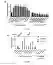 Fig. 09 - COMPOUNDS AND METHODS OF PROMOTING MYELINATION