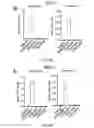 Fig. 28 - COMPOUNDS AND METHODS OF PROMOTING MYELINATION