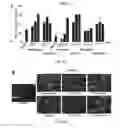 Fig. 32 - COMPOUNDS AND METHODS OF PROMOTING MYELINATION