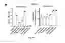 Fig. 33 - COMPOUNDS AND METHODS OF PROMOTING MYELINATION
