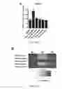Fig. 35 - COMPOUNDS AND METHODS OF PROMOTING MYELINATION
