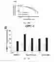 Fig. 40 - COMPOUNDS AND METHODS OF PROMOTING MYELINATION