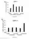 Fig. 41 - COMPOUNDS AND METHODS OF PROMOTING MYELINATION