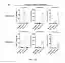 Fig. 45 - COMPOUNDS AND METHODS OF PROMOTING MYELINATION