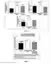 Fig. 05 - SUBSTITUTED AROMATIC COMPOUNDS AND PHARMACEUTICAL COMPOSITIONS FOR THE PREVENTION AND TREATMENT OF OSTEOPOROSIS