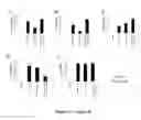Fig. 03 - Antimicrobial compositions comprising mupirocin and neomycin