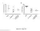 Fig. 08 - Antimicrobial compositions comprising mupirocin and neomycin