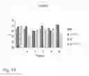 Fig. 03 - IRE-1α inhibitors