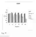 Fig. 05 - IRE-1α inhibitors