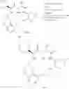 Fig. 58 - Macrocyclic ghrelin receptor modulators and methods of using the same