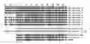 Fig. 01 - COMBINATION THERAPY OF HBV AND HDV INFECTION