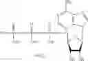 Fig. 49 - Polysaccharide and nucleic acid formulations containing viscosity-lowering agents