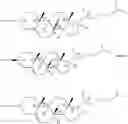 Fig. 49 - Antimicrobial cationic polycarbonates