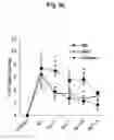 Fig. 06 - Composition for treating ischemic diseases or neuroinflammatory diseases, comprising secretome of neural precursor cells as active ingredient