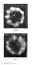 Fig. 02 - Nasal composition