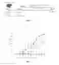 Fig. 02 - Peptide for preventing or treating inflammatory diseases and use thereof