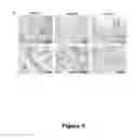 Fig. 06 - Materials and Methods for Eliciting Targeted Antibody Responses In Vivo