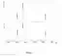 Fig. 02 - Saccharide derivative of a toxic payload and antibody conjugates thereof