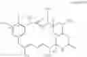 Fig. 24 - Saccharide derivative of a toxic payload and antibody conjugates thereof