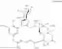 Fig. 25 - Saccharide derivative of a toxic payload and antibody conjugates thereof