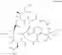 Fig. 31 - Saccharide derivative of a toxic payload and antibody conjugates thereof