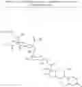 Fig. 44 - Saccharide derivative of a toxic payload and antibody conjugates thereof