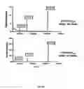 Fig. 05 - Genetically encoded intrinsically disordered stealth polymers for delivery and methods of using same