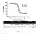 Fig. 18 - Genetically encoded intrinsically disordered stealth polymers for delivery and methods of using same