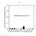 Fig. 06 - CCK2R-drug conjugates