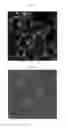 Fig. 08 - CCK2R-drug conjugates