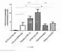 Fig. 46 - Cross-linked star-shaped self-assembled polypeptides and its use as carriers in biomedical applications