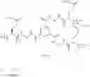 Fig. 63 - Cross-linked star-shaped self-assembled polypeptides and its use as carriers in biomedical applications