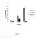 Fig. 02 - NOVEL IMMUNOGENIC PEPTIDES