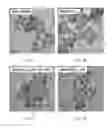 Fig. 03 - Silica-based biomolecule carrier, pharmaceutical composition comprising the same, preparation method and use thereof