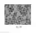 Fig. 06 - Silica-based biomolecule carrier, pharmaceutical composition comprising the same, preparation method and use thereof