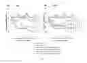 Fig. 04 - Bicistronic AAV vector for RNA interference in ALS