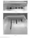 Fig. 09 - Tissue stain and use thereof
