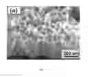 Fig. 07 - Articles comprising large-surface-area bio-compatible materials and methods for making and using them