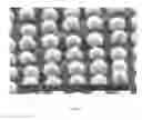 Fig. 95 - Articles comprising large-surface-area bio-compatible materials and methods for making and using them