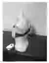 Fig. 01 - Breast milk expression apparatus and system