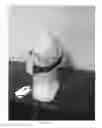 Fig. 03 - Breast milk expression apparatus and system