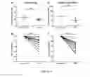 Fig. 05 - Permselective membrane for treating vascular calcifications in chronic hemodialysis patients