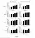 Fig. 06 - Permselective membrane for treating vascular calcifications in chronic hemodialysis patients