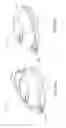 Fig. 111 - Adhesive and peripheral systems and methods for medical devices