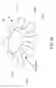 Fig. 134 - Adhesive and peripheral systems and methods for medical devices