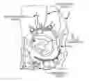 Fig. 01 - Extracranial implantable devices, systems and methods for the treatment of medical disorders