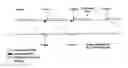 Fig. 01 - Hemodynamic performance enhancement through asymptomatic diaphragm stimulation